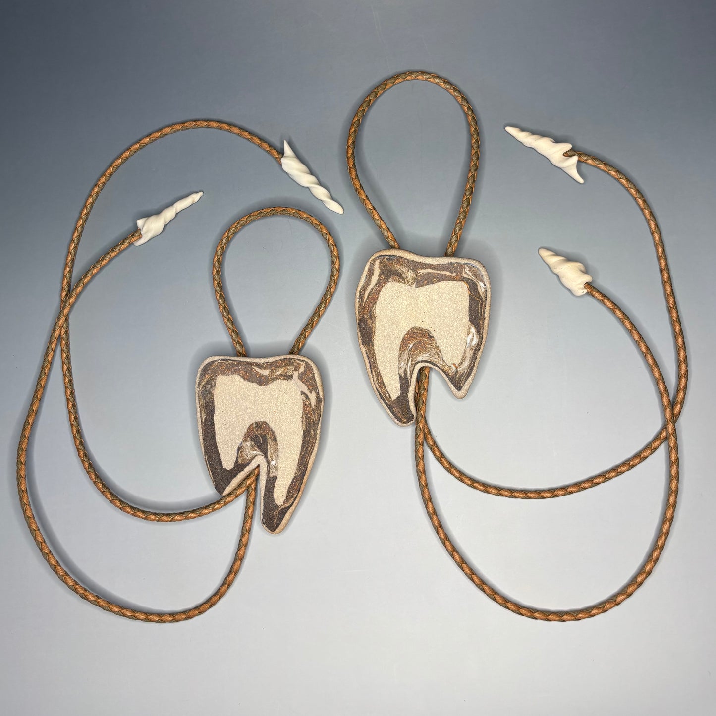 Cross Cut Tooth Fossil Bolo Tie