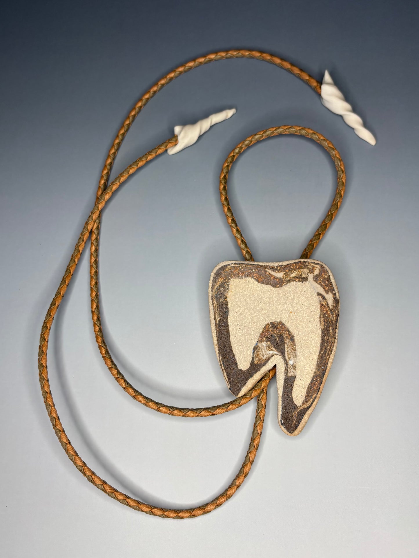 Cross Cut Tooth Fossil Bolo Tie