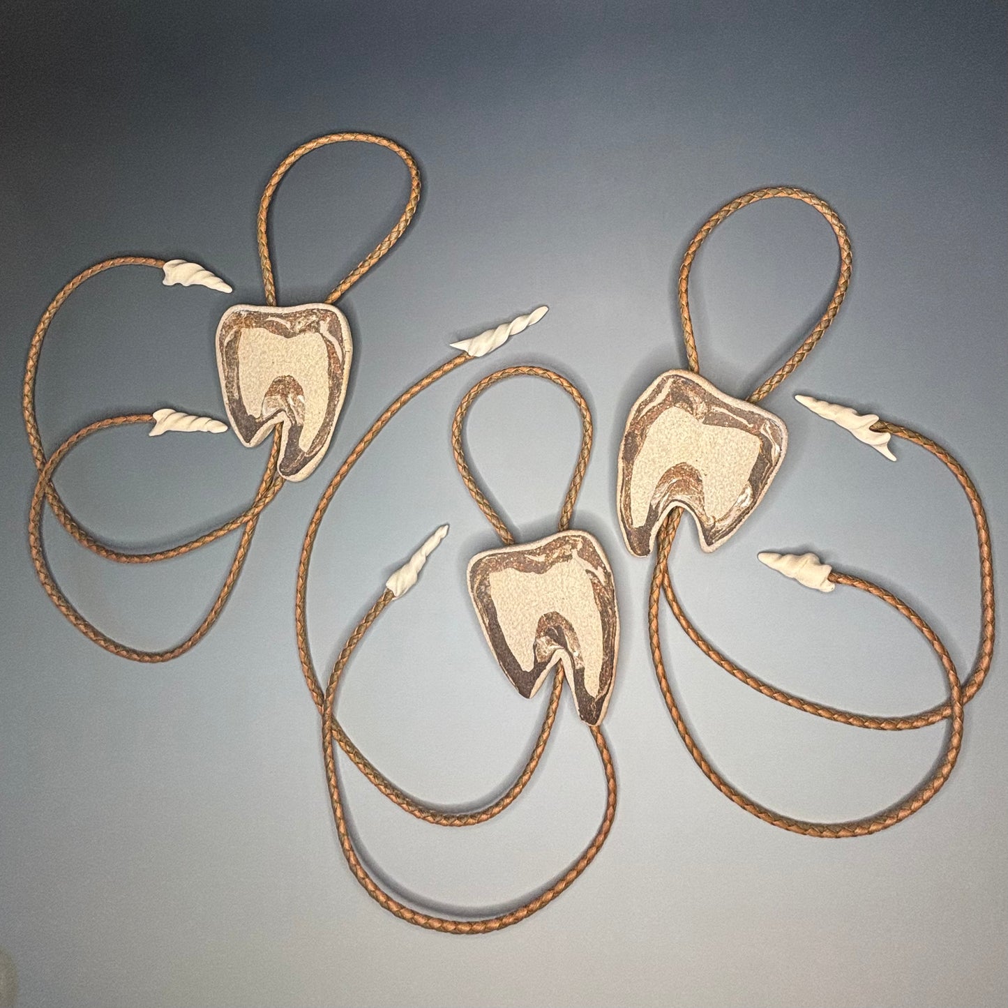 Cross Cut Tooth Fossil Bolo Tie