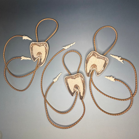 Cross Cut Tooth Fossil Bolo Tie